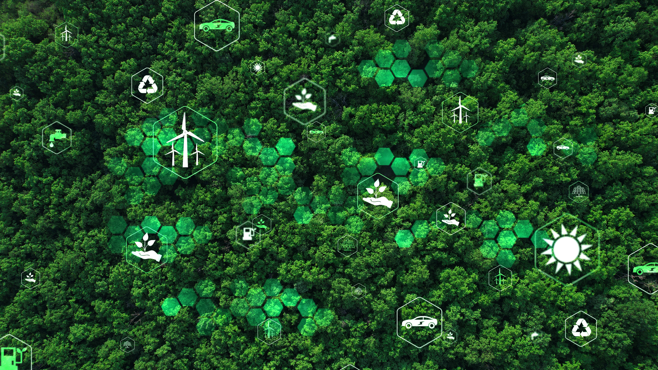 Environmental technology concept.Sustainable Development Goals (SDGs).Renewable resource technology to reduce pollution and carbon emissions.